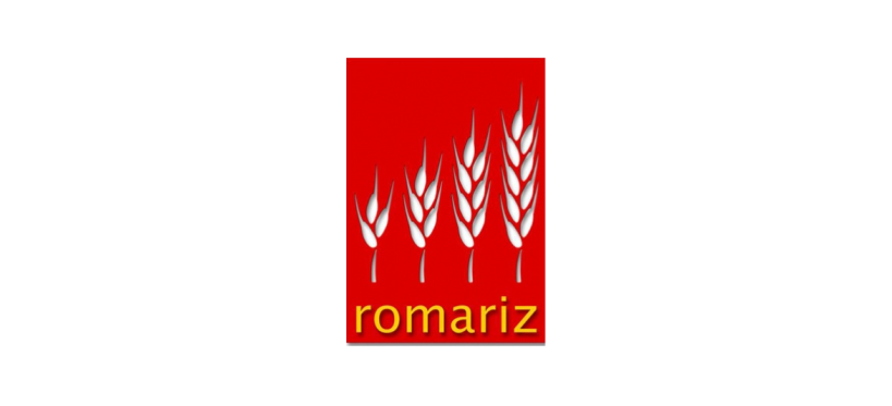 romariz-ico